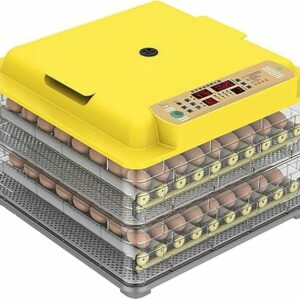 Digital Egg Incubator