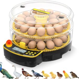 Parrot eggs Incubator