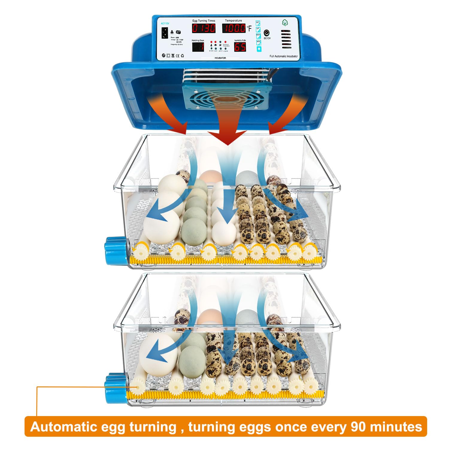 Parrot eggs incubators For Sale