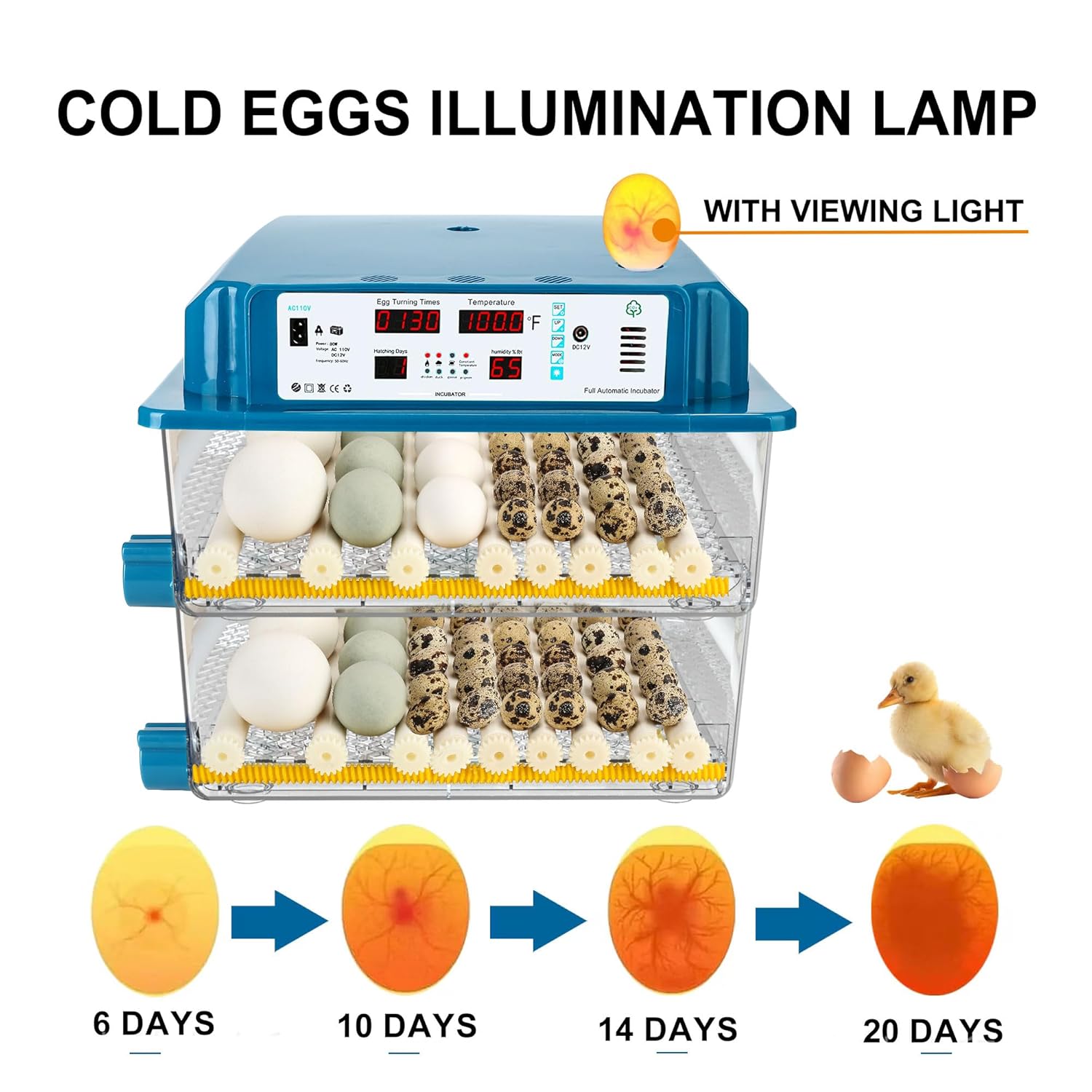 Parrot eggs incubators For Sale